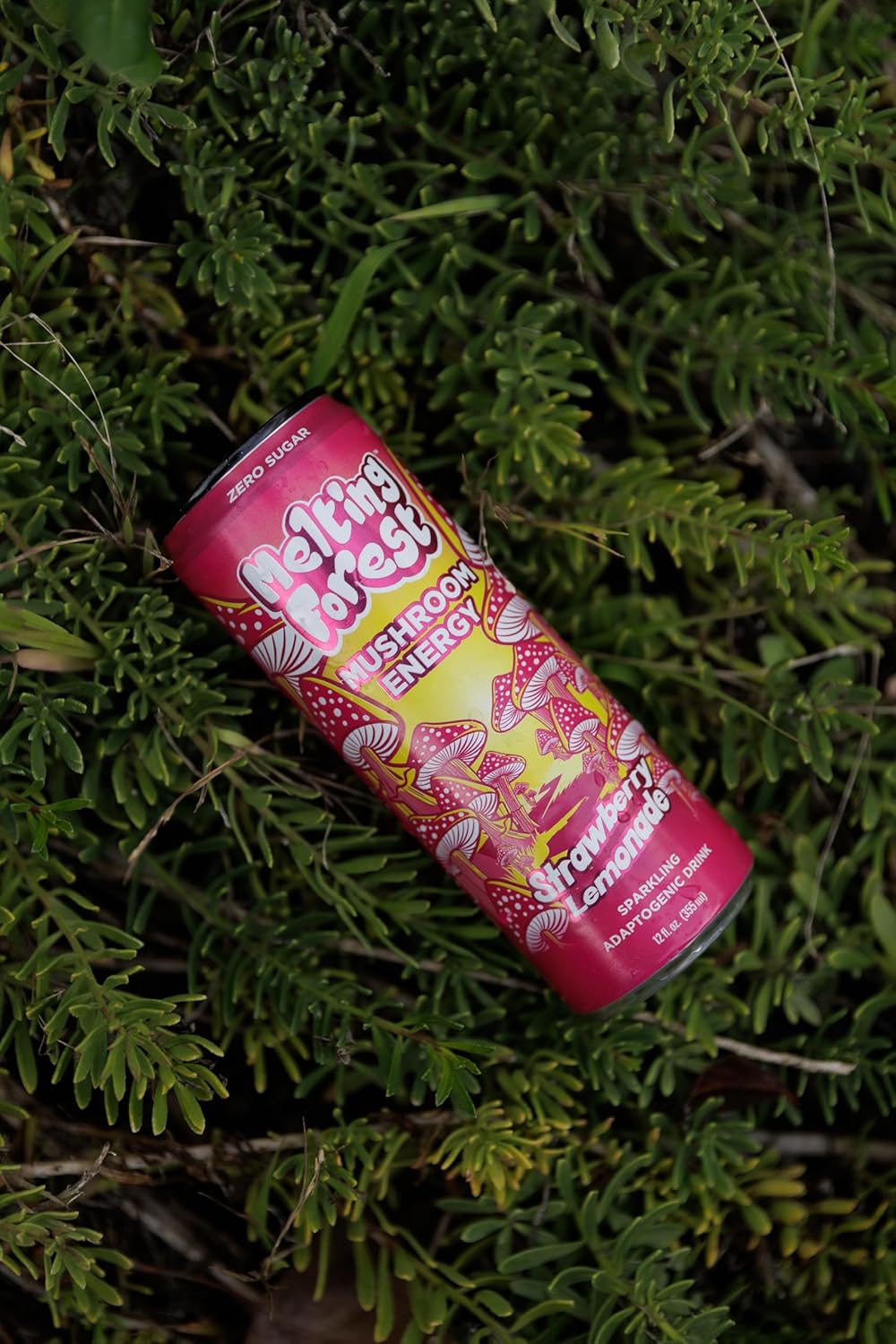 Melting Forest Mushroom Energy Drink